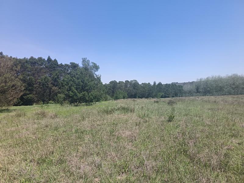 0 Bedroom Property for Sale in Albertinia Western Cape